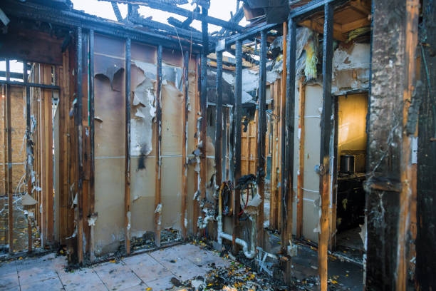 Professional Fire Damage Removal technician working in Crystal Beach, FL